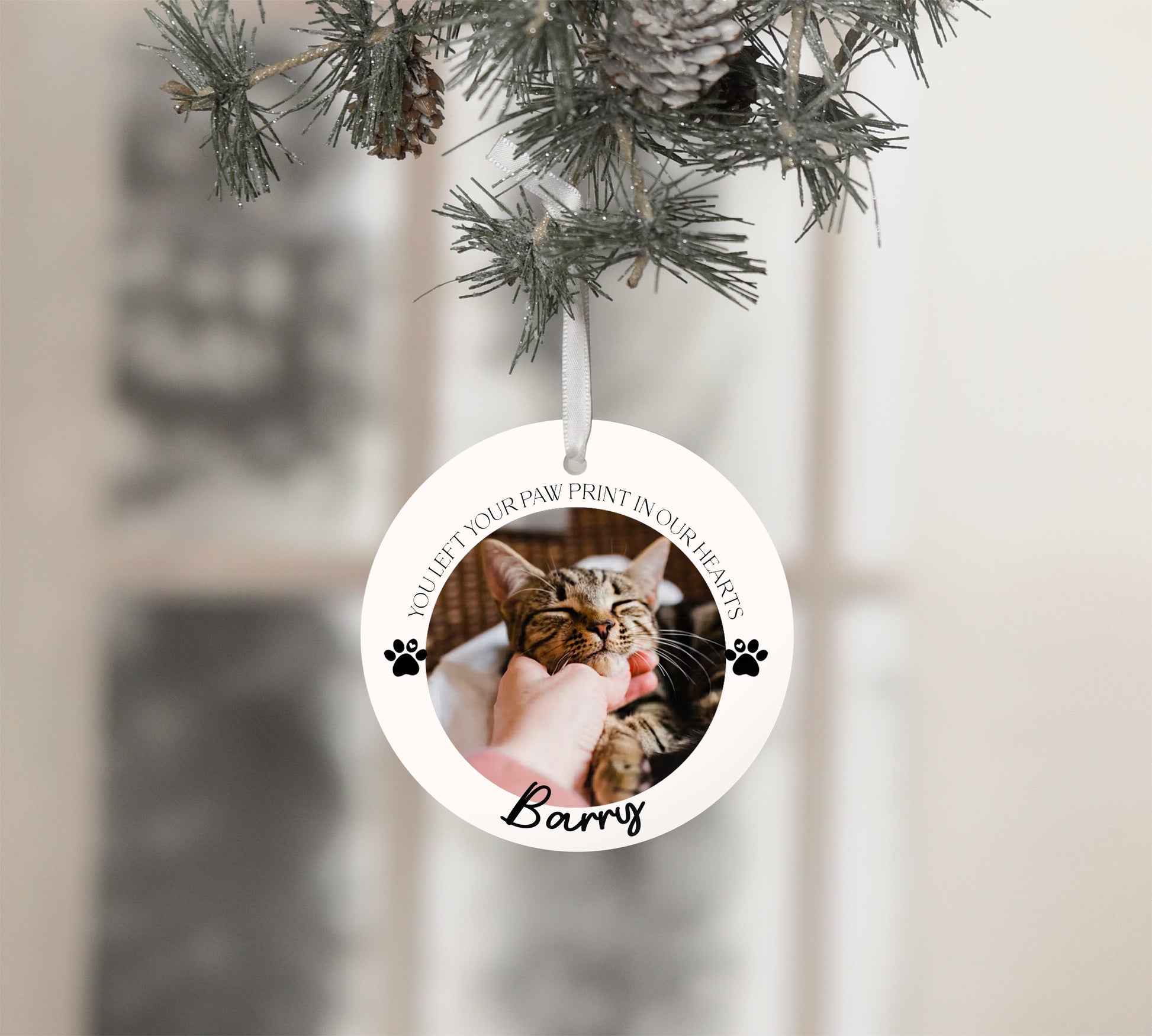 Personalised Pet Memorial Bauble Photo Keepsake